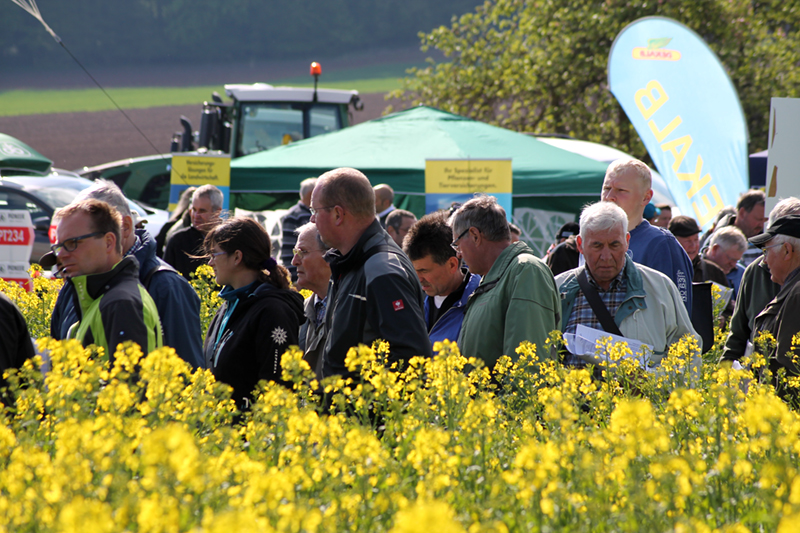 Landwirte bei der Feldbegehung im Raps